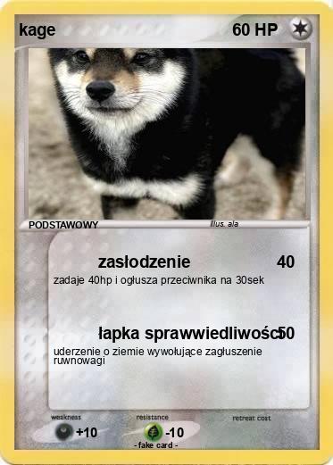 Pokemon kage