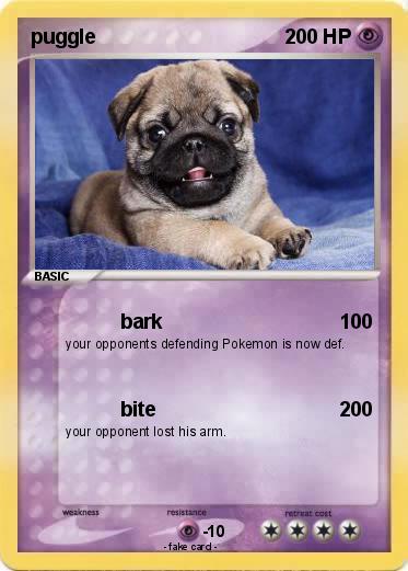 Pokemon puggle