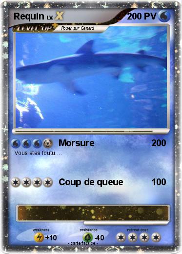 Pokemon Requin