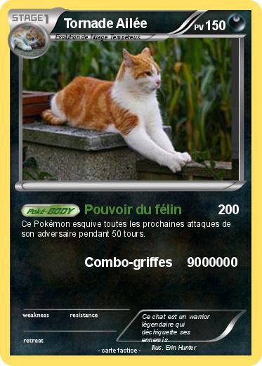 Pokemon Tornade Ailée