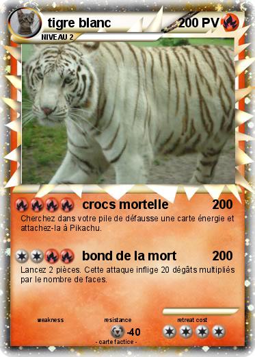 Pokemon tigre blanc