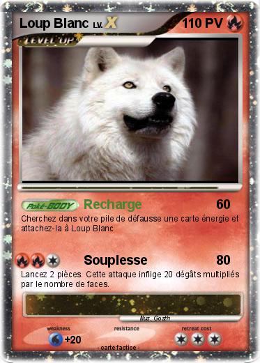 Pokemon Loup Blanc