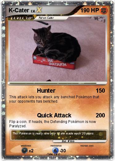 Pokemon K-Cater