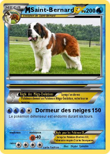 Pokemon Saint-Bernard