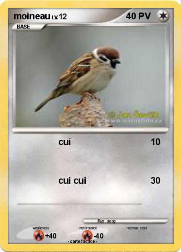 Pokemon moineau