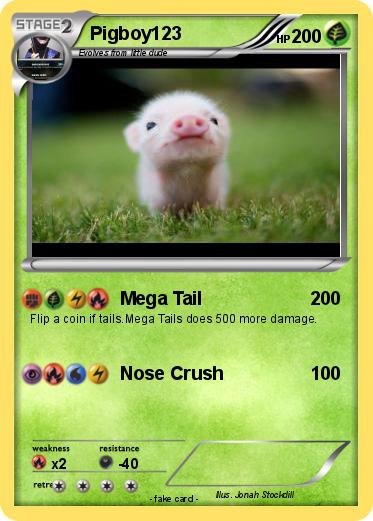 Pokemon Pigboy123