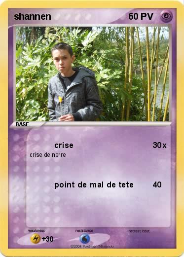Pokemon shannen