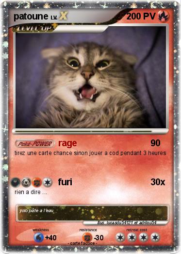 Pokemon patoune