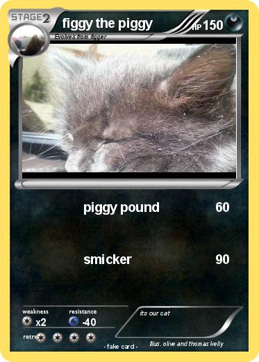 Pokemon figgy the piggy