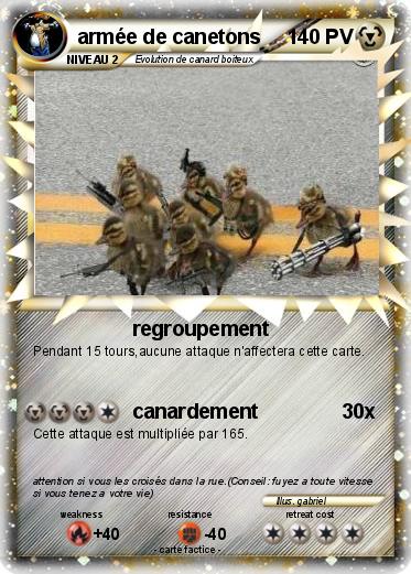 Pokemon armée de canetons