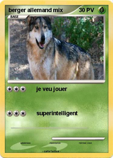 Pokemon berger allemand mix