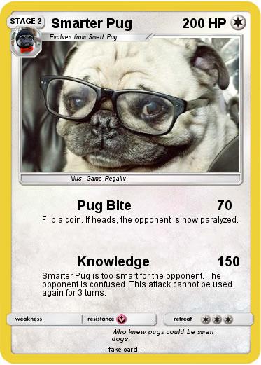 Pokemon Smarter Pug