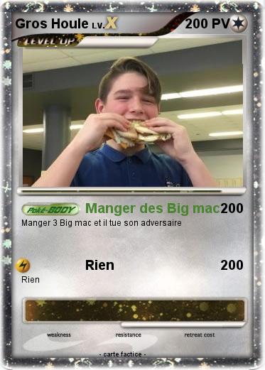 Pokemon Gros Houle