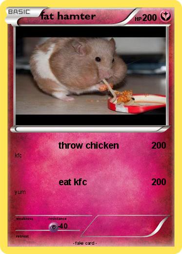Pokemon fat hamter