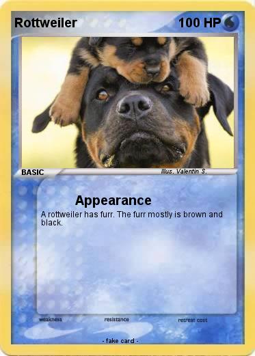Pokemon Rottweiler