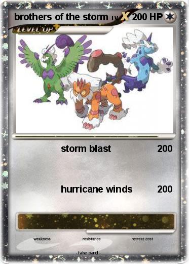Pokemon brothers of the storm