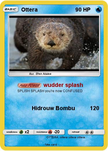 Pokemon Ottera