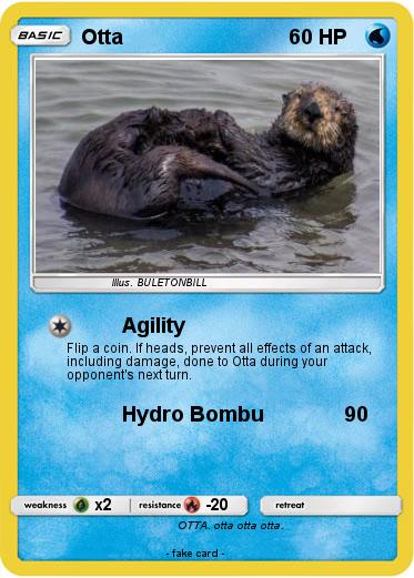 Pokemon Otta