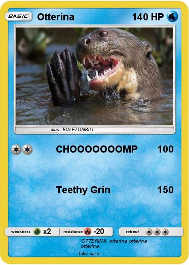 Pokemon Otterina