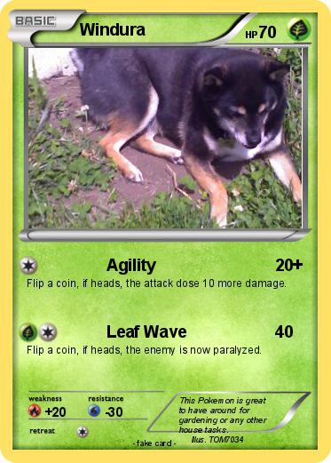 Pokemon Windura