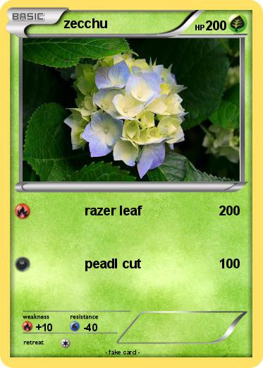 Pokemon zecchu