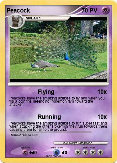 Pokemon Peacock