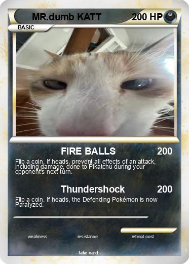 Pokemon MR.dumb KATT