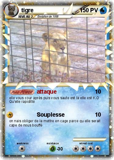 Pokemon tigre