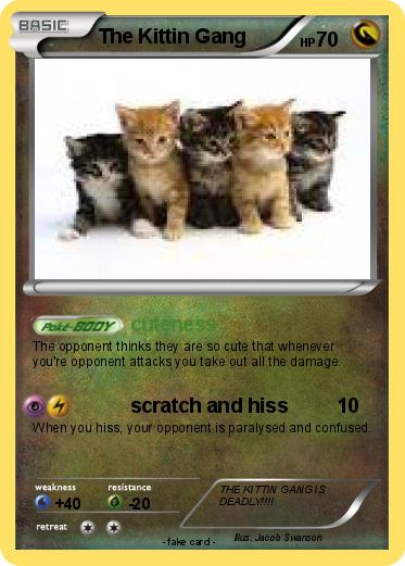 Pokemon The Kittin Gang