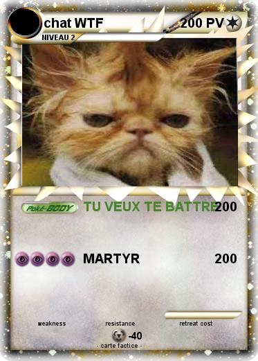 Pokemon chat WTF