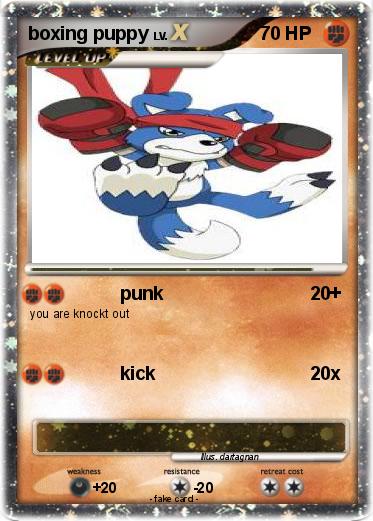 Pokemon boxing puppy