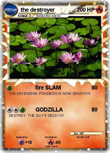 Pokemon the destroyer