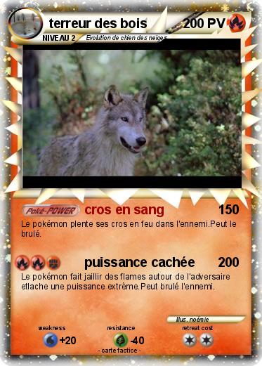 Pokemon terreur des bois