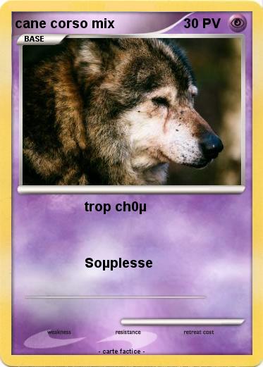 Pokemon cane corso mix