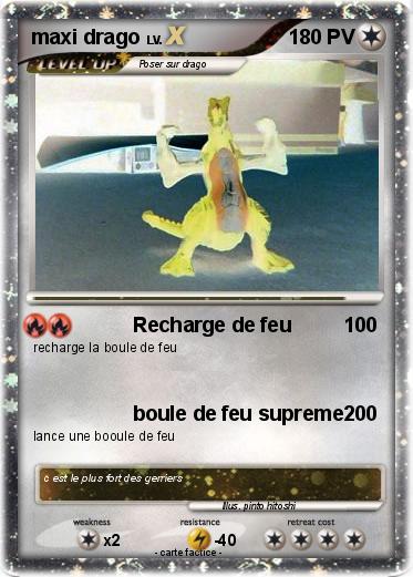 Pokemon maxi drago