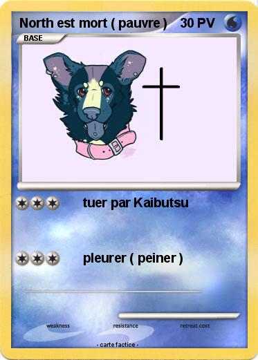 Pokemon North est mort ( pauvre )