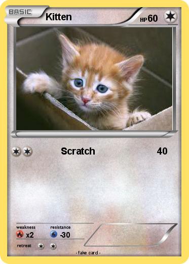 Pokemon Kitten