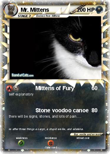 Pokemon Mr. Mittens