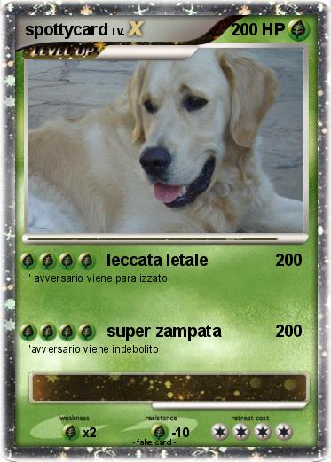 Pokemon spottycard