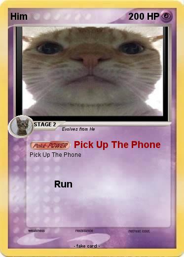 Pokemon Him