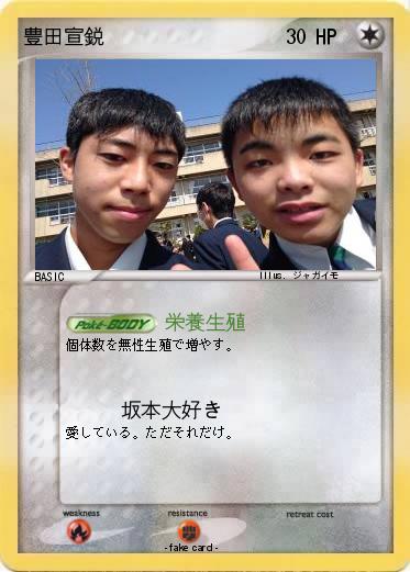 Pokemon 豊田宣鋭