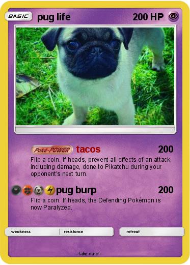 Pokemon pug life