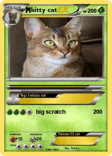 Pokemon kitty cat