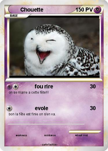Pokemon Chouette