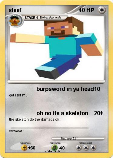 Pokemon steef