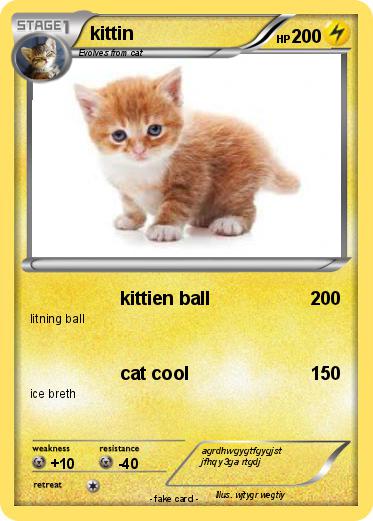 Pokemon kittin
