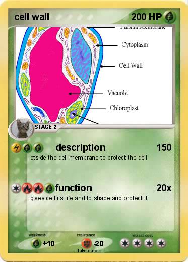 Pokemon cell wall