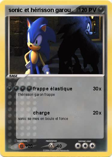 Pokemon sonic et hérisson garou