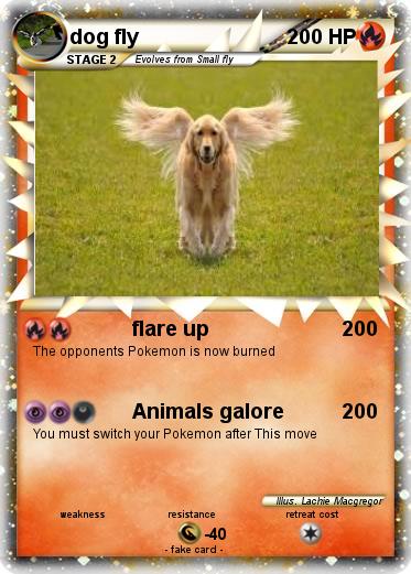 Pokemon dog fly