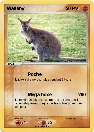 Pokemon Wallaby